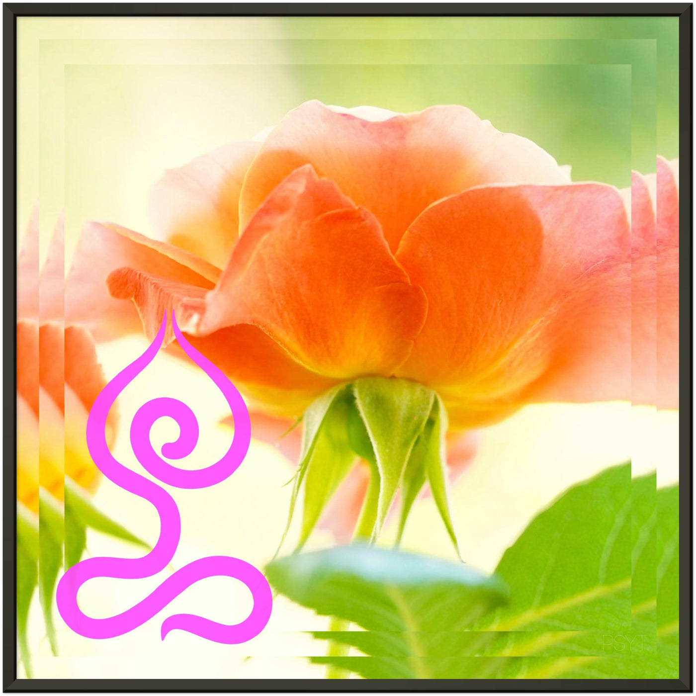 Flowers Lotus Pose Metal Frame