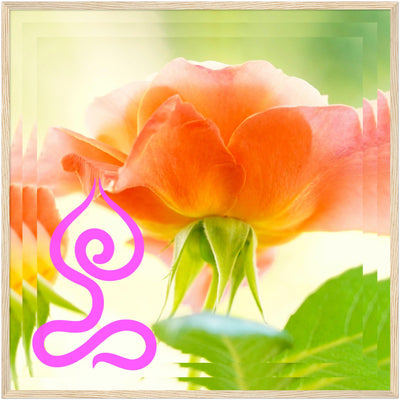 Flowers Lotus Pose Wood Frame